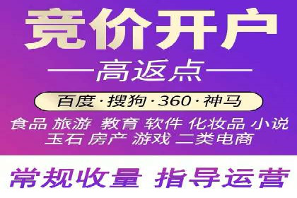 百度广告推广案例解析